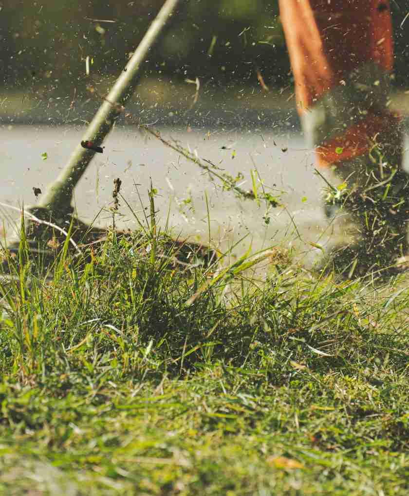 landscaping service is key to all green around the community